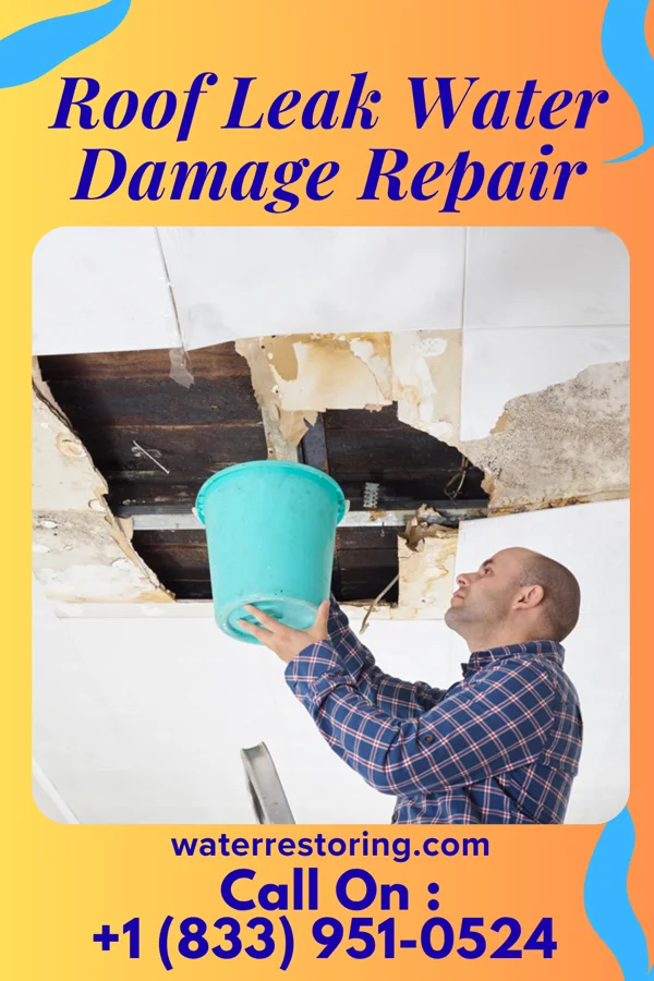 Roof Leak Water Damage Repair in Brewer, MO